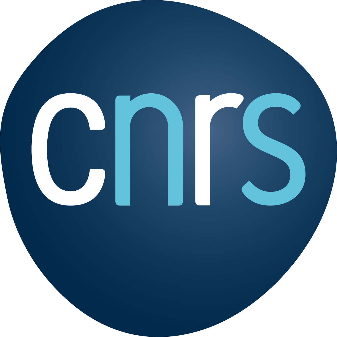 logo cnrs site web