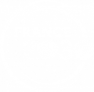 logo france 2030 blanc