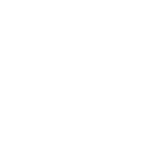 logo france 2030 blanc